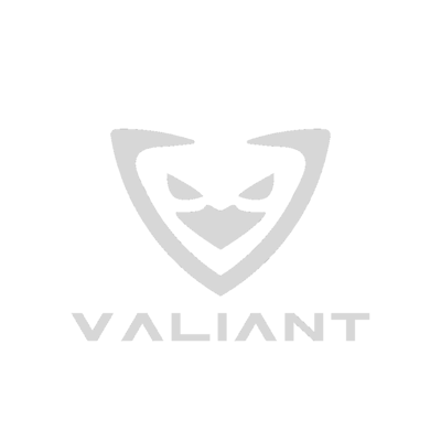 valiant fresh cs logo